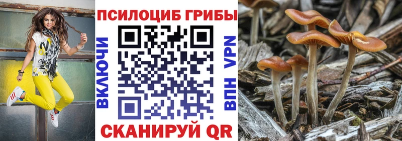 Псилоцибиновые грибы мицелий  где продают   Новодвинск 