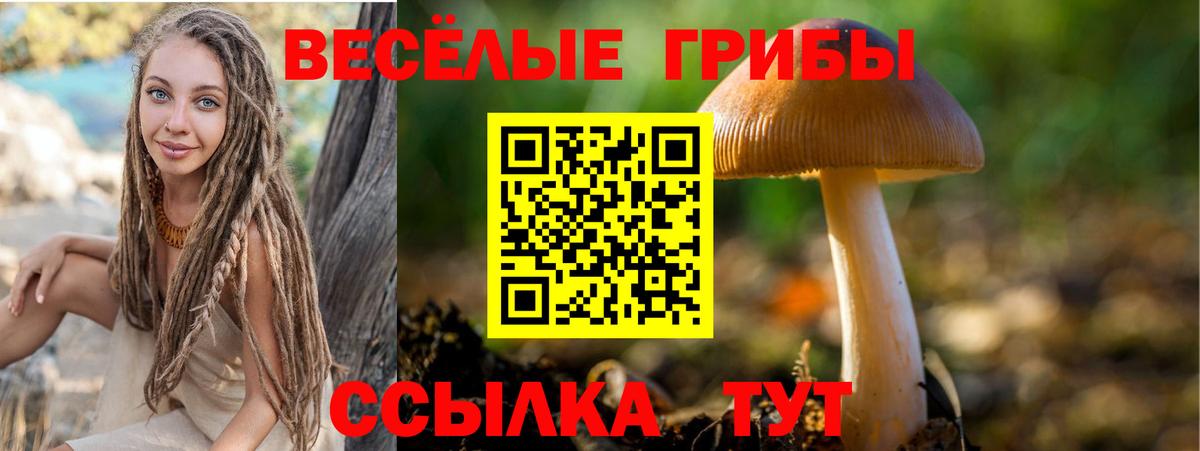 Псилоцибиновые грибы Magic Shrooms  Галлюциногенные грибы прущие грибы  Новодвинск  Вход с VPN 